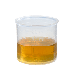 Schoenenberger Sellerie