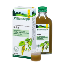 Schoenenberger Birke