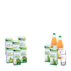 Schoenenberger Schlankheits-Kur „Apfel-Ingwer“