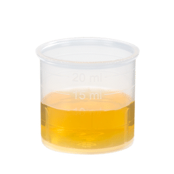 Schoenenberger Petersilie